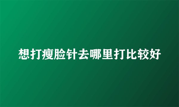 想打瘦脸针去哪里打比较好