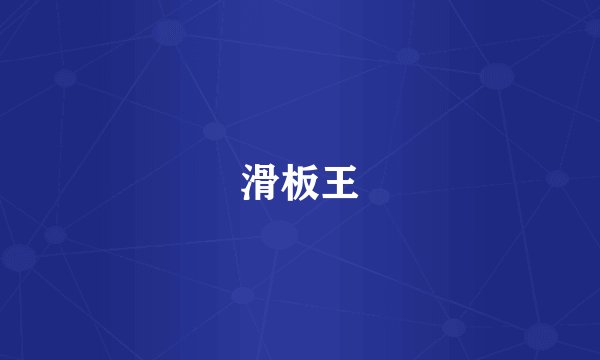 滑板王