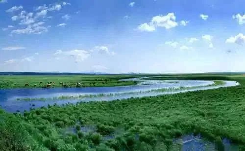 马云捐款1亿保护湿地，湿地的保护措施有哪些?