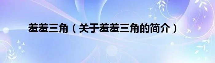 羞羞三角（关于羞羞三角的简介）