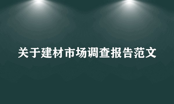 关于建材市场调查报告范文