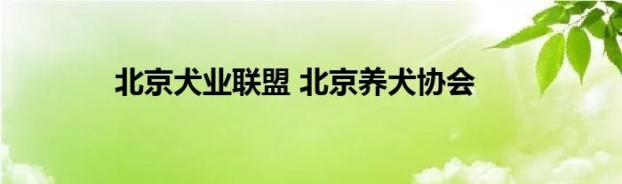 北京犬业联盟 北京养犬协会
