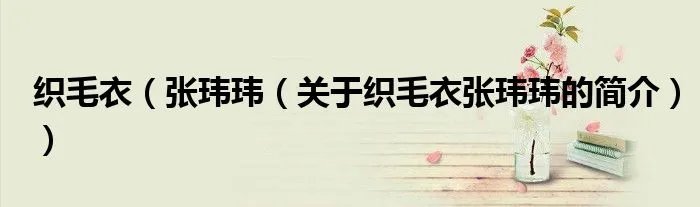 织毛衣(张玮玮(关于织毛衣张玮玮的简介))