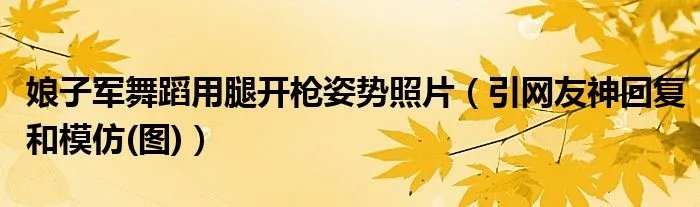 娘子军舞蹈用腿开枪姿势照片（引网友神回复和模仿(图)）