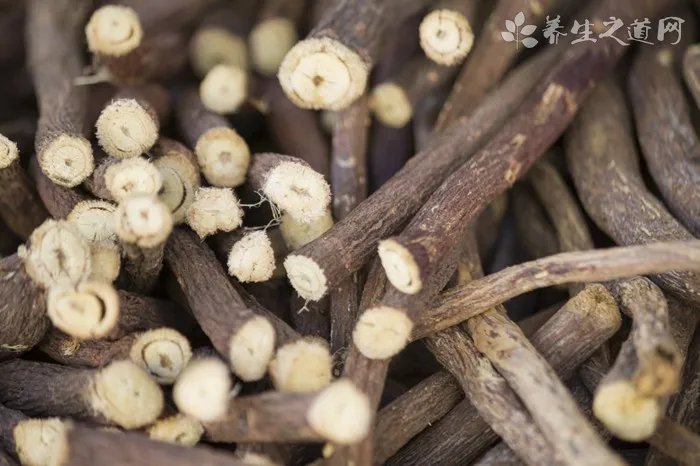 吸脂蚊子你了解吗？