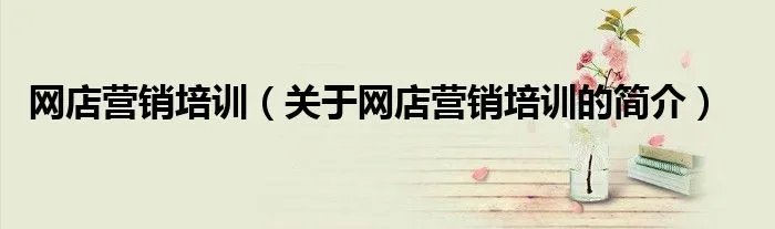 网店营销培训（关于网店营销培训的简介）