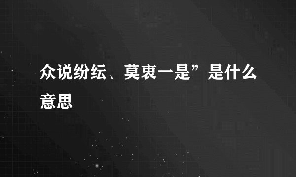 众说纷纭、莫衷一是”是什么意思