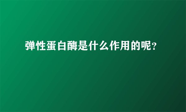 弹性蛋白酶是什么作用的呢？