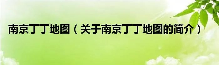 南京丁丁地图（关于南京丁丁地图的简介）