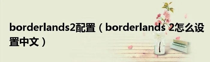 borderlands2配置（borderlands 2怎么设置中文）