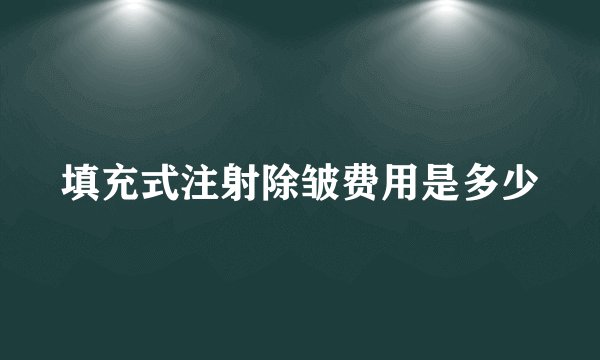 填充式注射除皱费用是多少