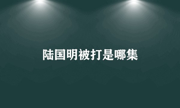 陆国明被打是哪集