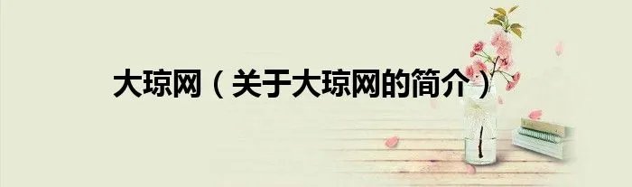 大琼网（关于大琼网的简介）