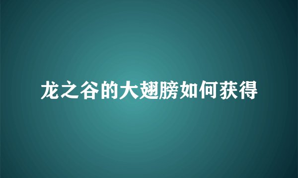 龙之谷的大翅膀如何获得