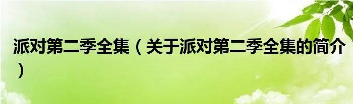 派对第二季全集（关于派对第二季全集的简介）