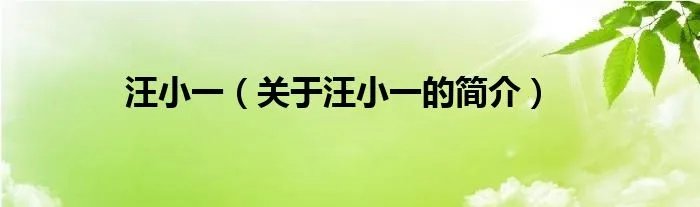 汪小一（关于汪小一的简介）