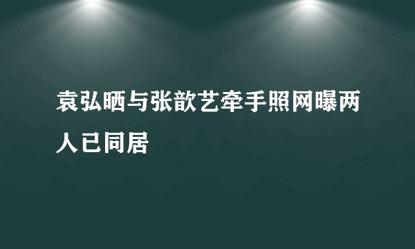 袁弘晒与张歆艺牵手照网曝两人已同居