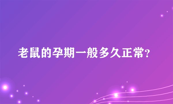 老鼠的孕期一般多久正常？