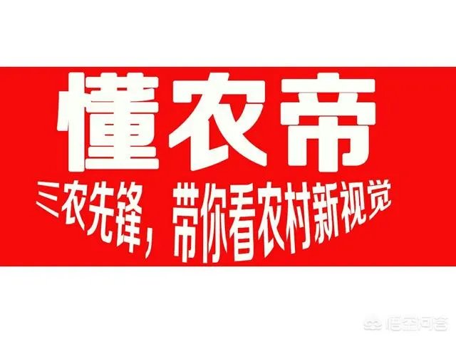 养殖业什么前景最好?