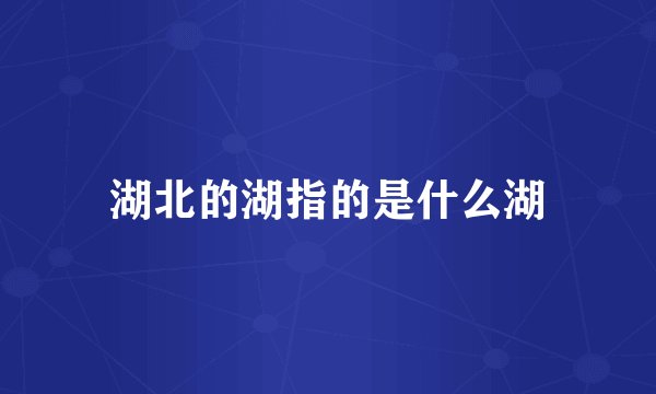 湖北的湖指的是什么湖