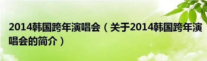 2014韩国跨年演唱会（关于2014韩国跨年演唱会的简介）