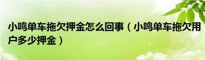小鸣单车拖欠押金怎么回事（小鸣单车拖欠用户多少押金）