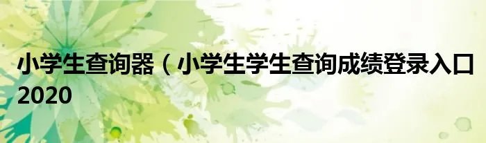 小学生查询器(小学生学生查询成绩登录入口2020