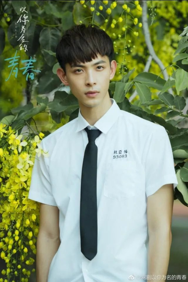 如何评价网剧《以你为名的青春》？