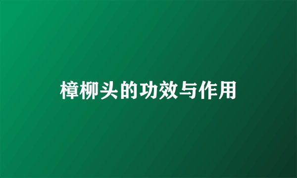 樟柳头的功效与作用