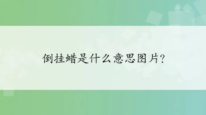 倒挂蜡是什么意思图片？