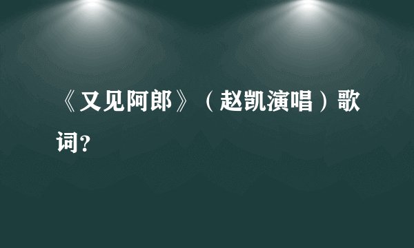 《又见阿郎》（赵凯演唱）歌词？