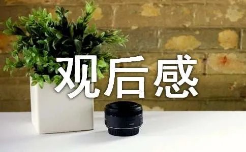 厉害了我的国观后感500字