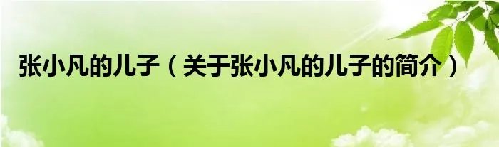 张小凡的儿子（关于张小凡的儿子的简介）
