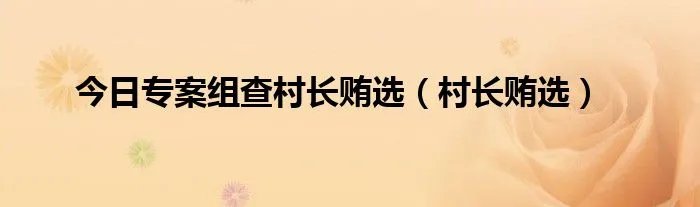 今日专案组查村长贿选（村长贿选）