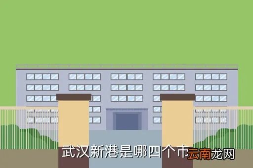 武汉新港由4市，武汉新港是哪四个市