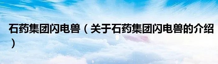 石药集团闪电兽（关于石药集团闪电兽的介绍）