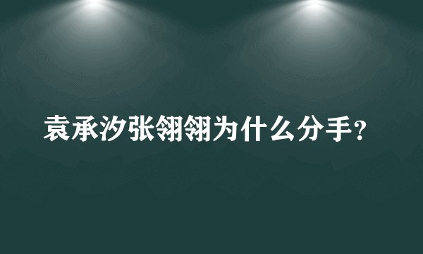 袁承汐张翎翎为什么分手？