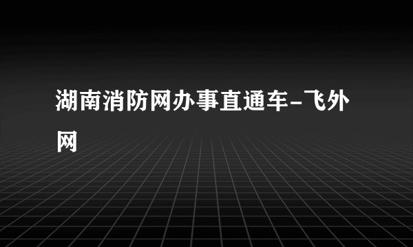 湖南消防网办事直通车-飞外网