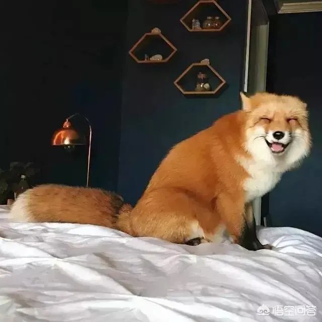 哪里的美术画室比较好?