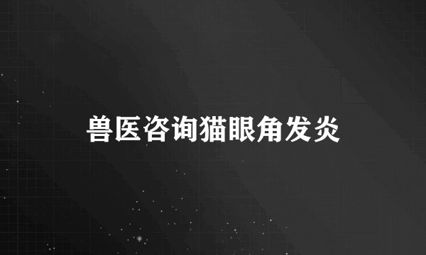 兽医咨询猫眼角发炎