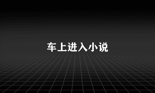 车上进入小说