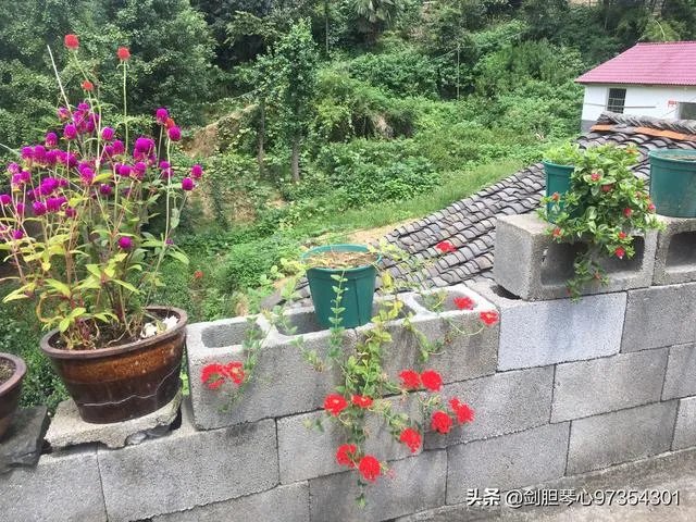 淘宝花店有没有推荐的?