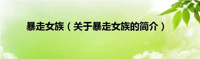暴走女族（关于暴走女族的简介）