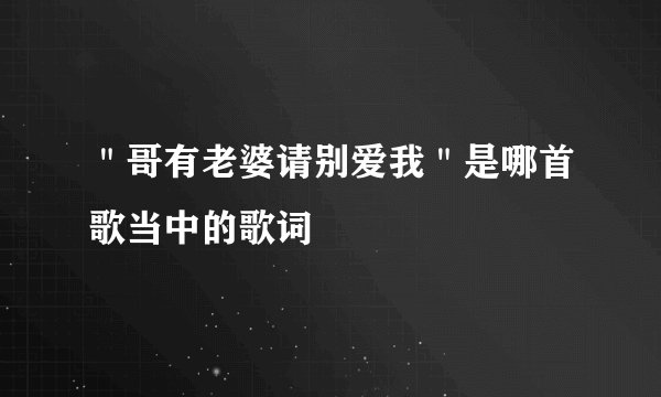 ＂哥有老婆请别爱我＂是哪首歌当中的歌词