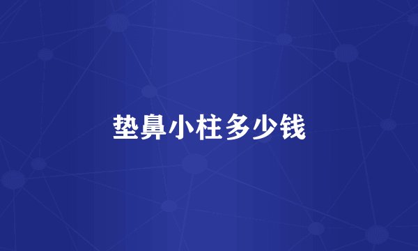 垫鼻小柱多少钱