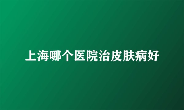 上海哪个医院治皮肤病好