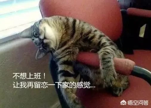 春节后的“节后综合征”怎么破?