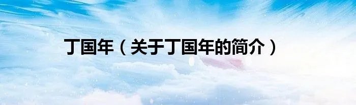 丁国年（关于丁国年的简介）