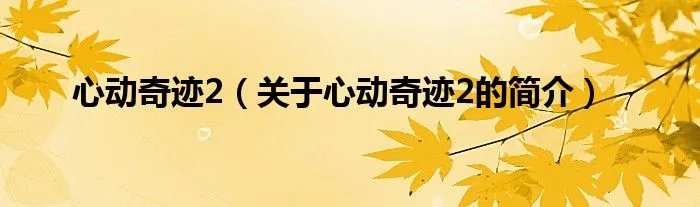心动奇迹2（关于心动奇迹2的简介）
