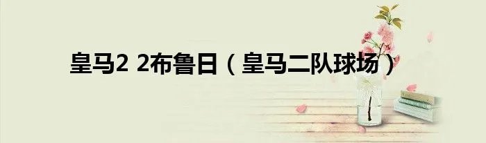 皇马2 2布鲁日（皇马二队球场）